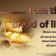 2022-01-02, “I am the Bread of Life”