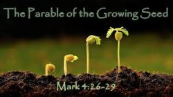 2018-09-23,  "Sowing, Growing and Harvesting"