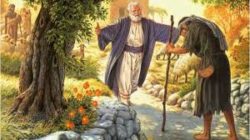 2018-11-11, "The Parable of the Lost Sons and the Prodigal God"