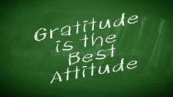 2020-08-23,  "Attitude of Gratitude"